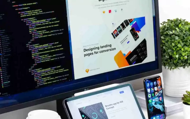 Web Development